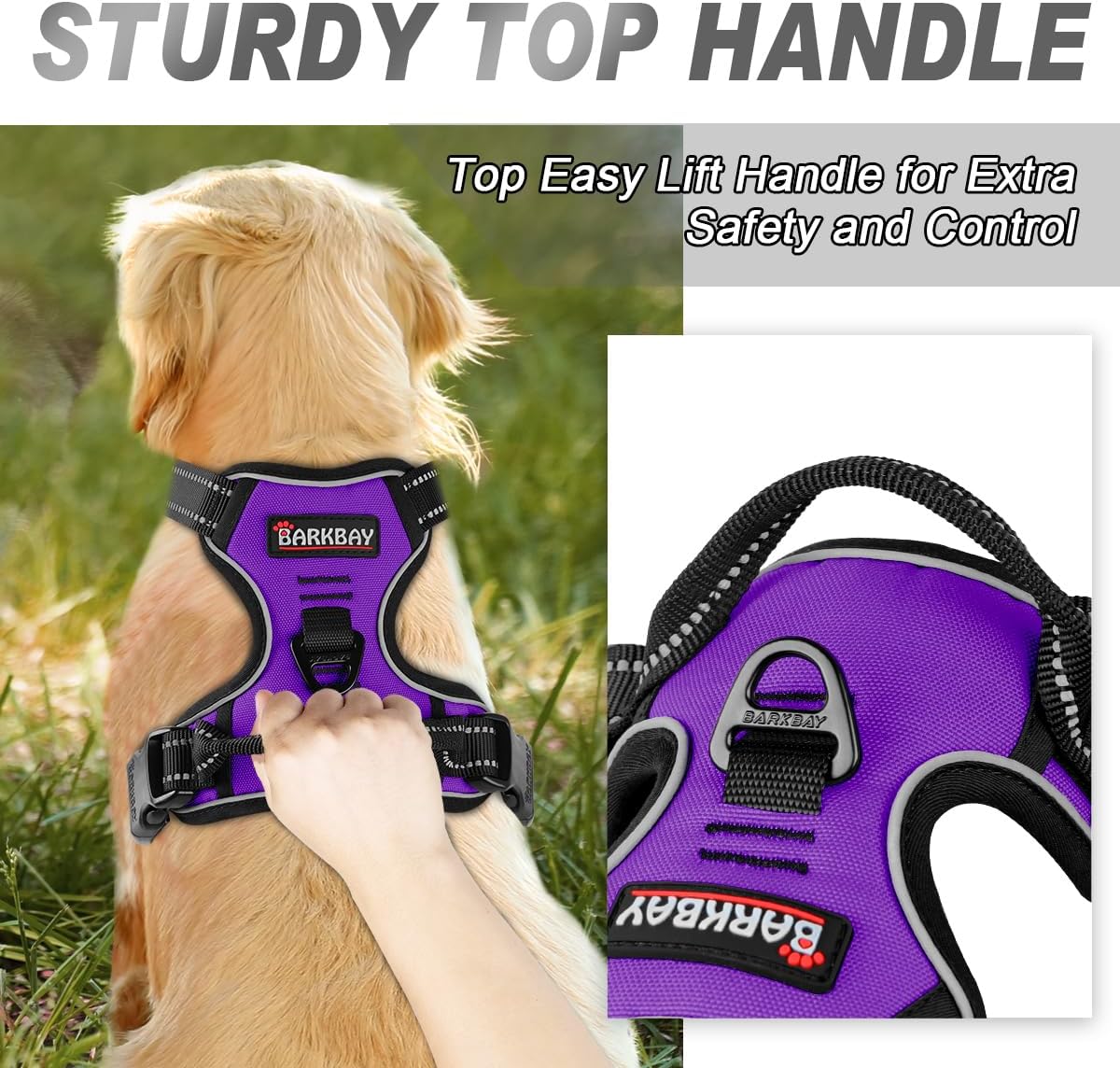 Hundegeschirr, X-Large(Chest:31-38”) Purple