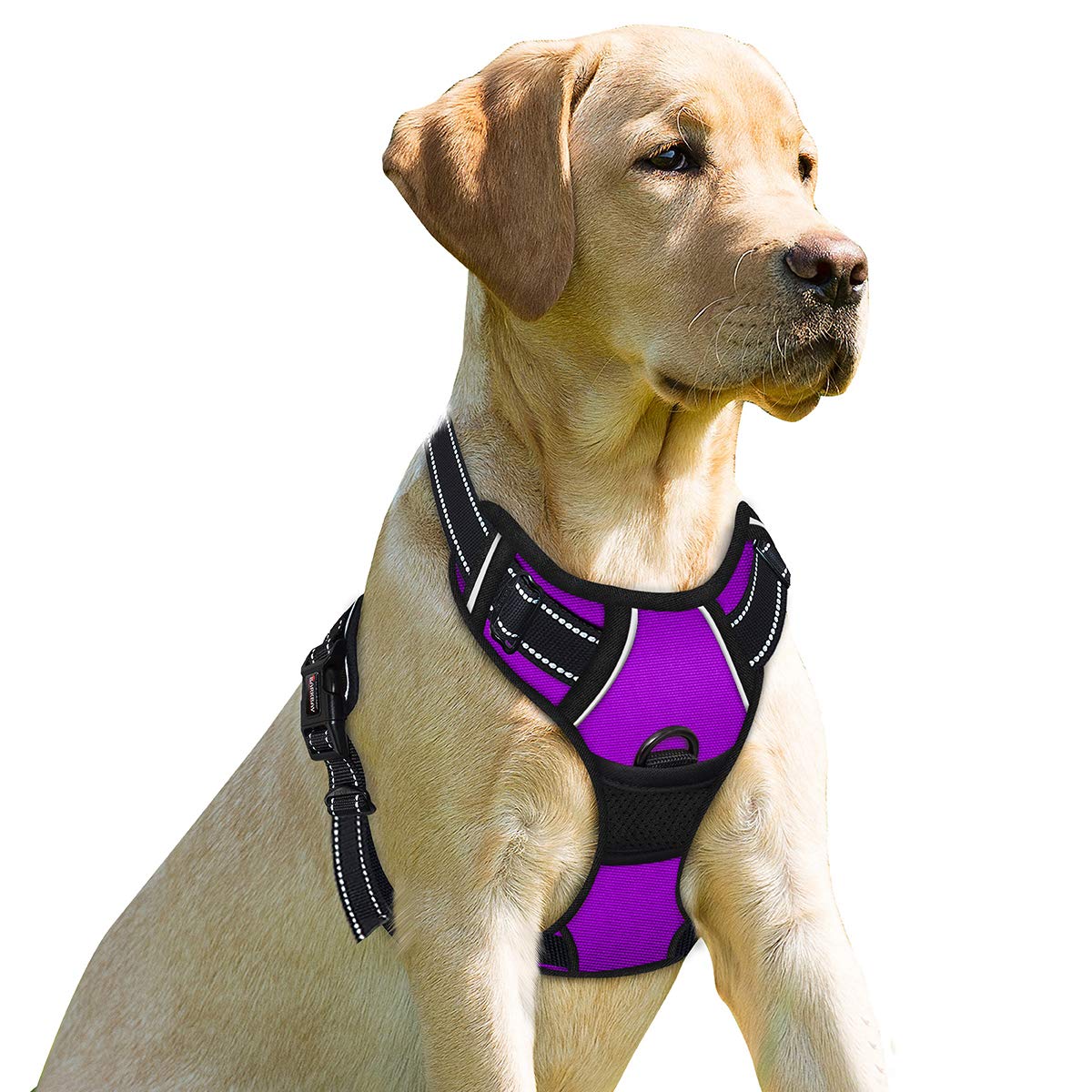 Hundegeschirr, X-Large(Chest:31-38”) Purple