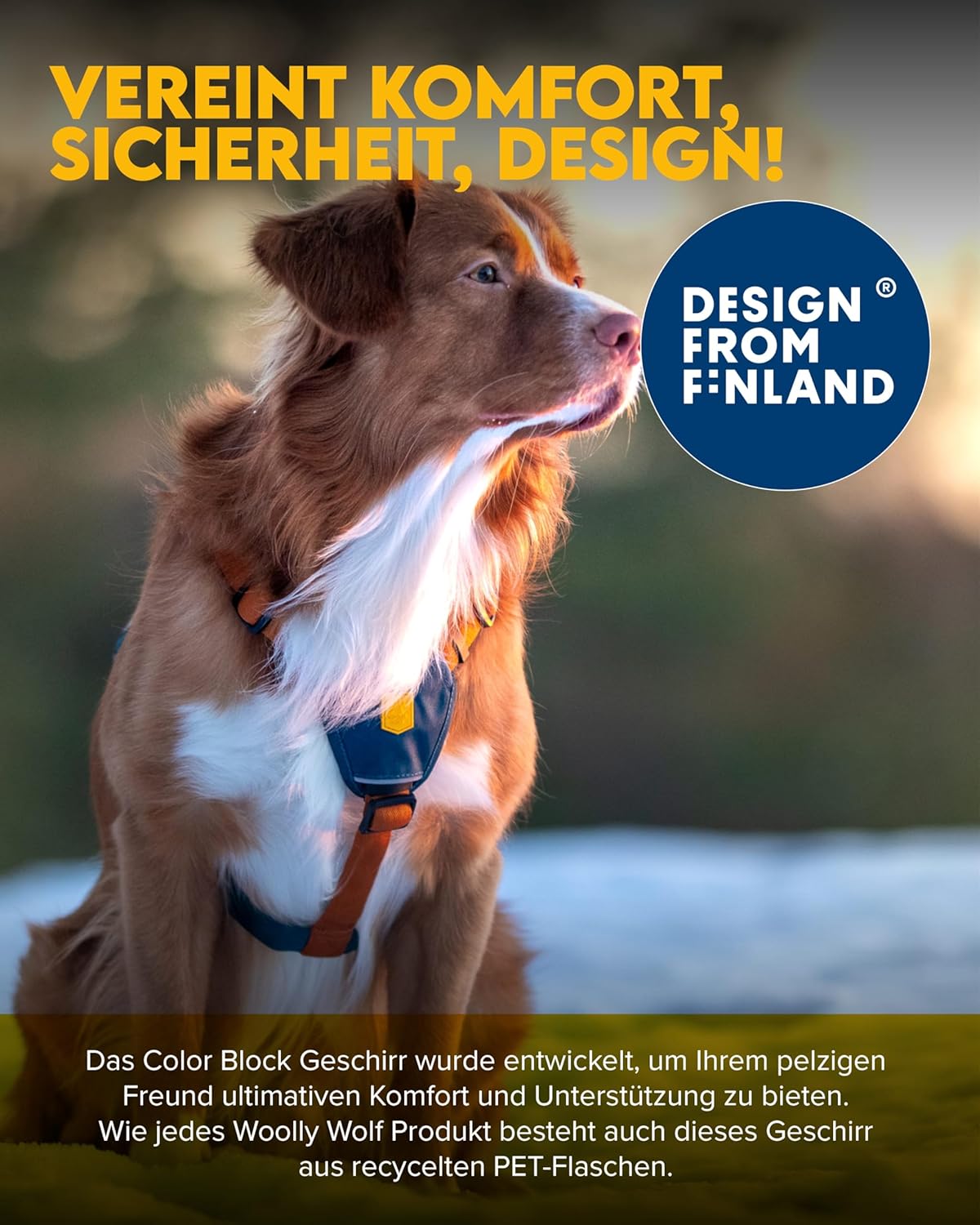 Color Block Hundegeschirr, Limetten-Mix XS