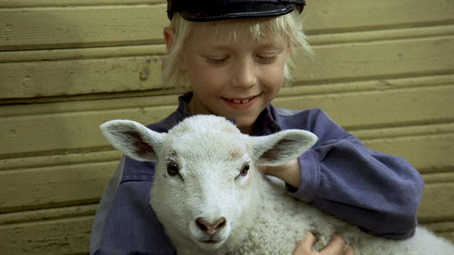 Pippi Langstrumpf / Michel aus Lönneberga, DVD