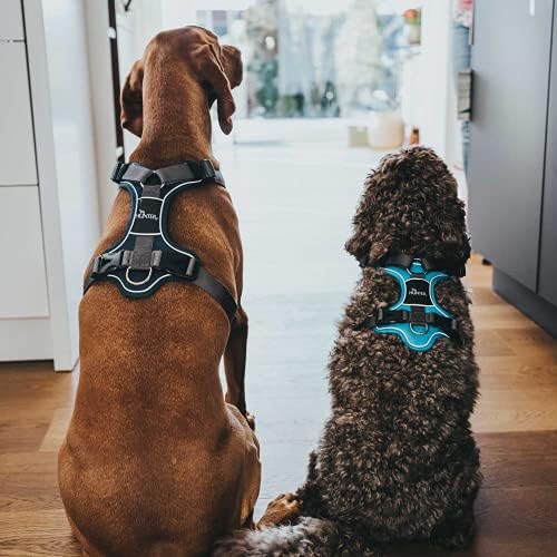 Hundegeschirr Divo, 45 - 56 cm dunkelblau/grau
