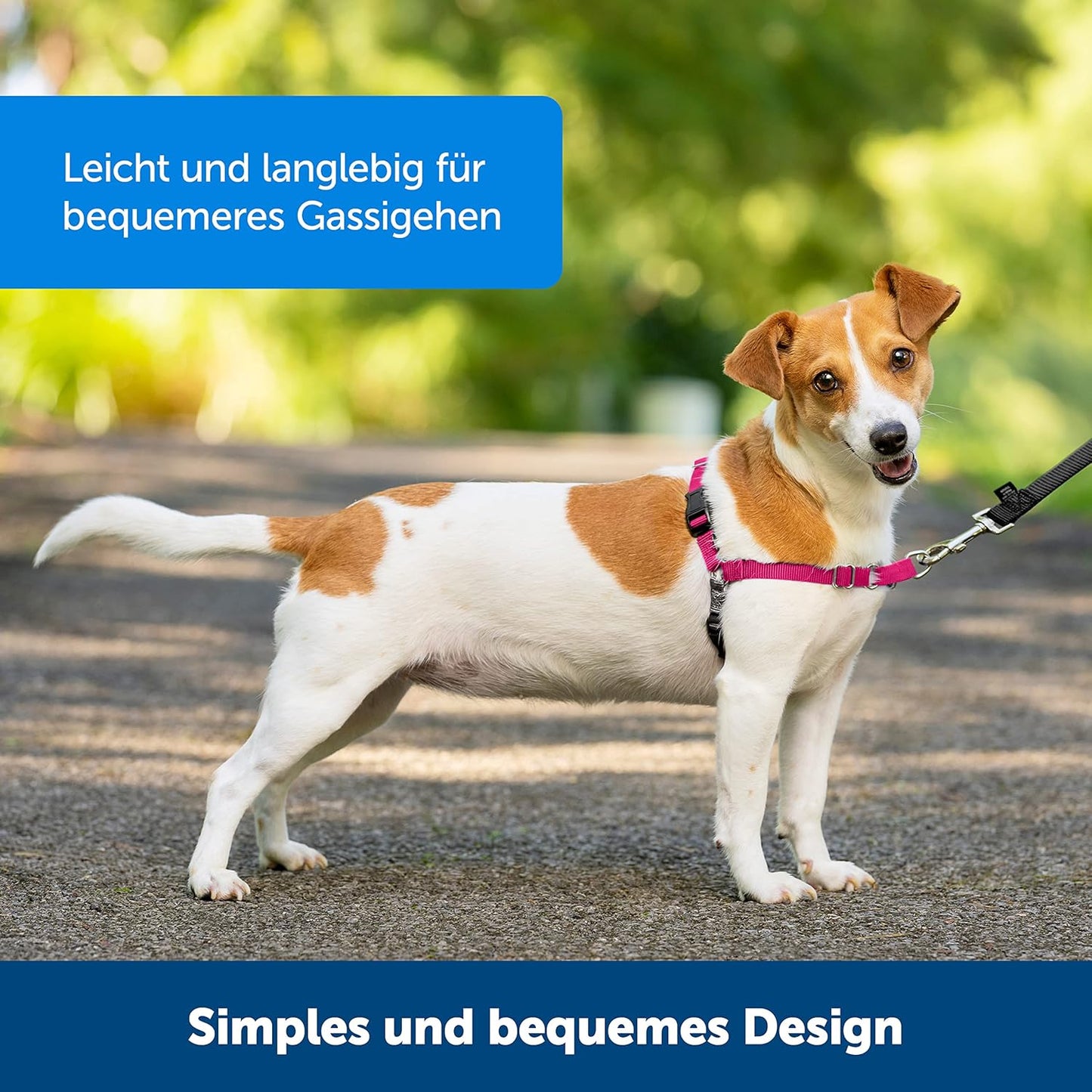 Easy Walk Anti-Zieh-Hundegeschirr mit 1,8 m Leine, L Rosa