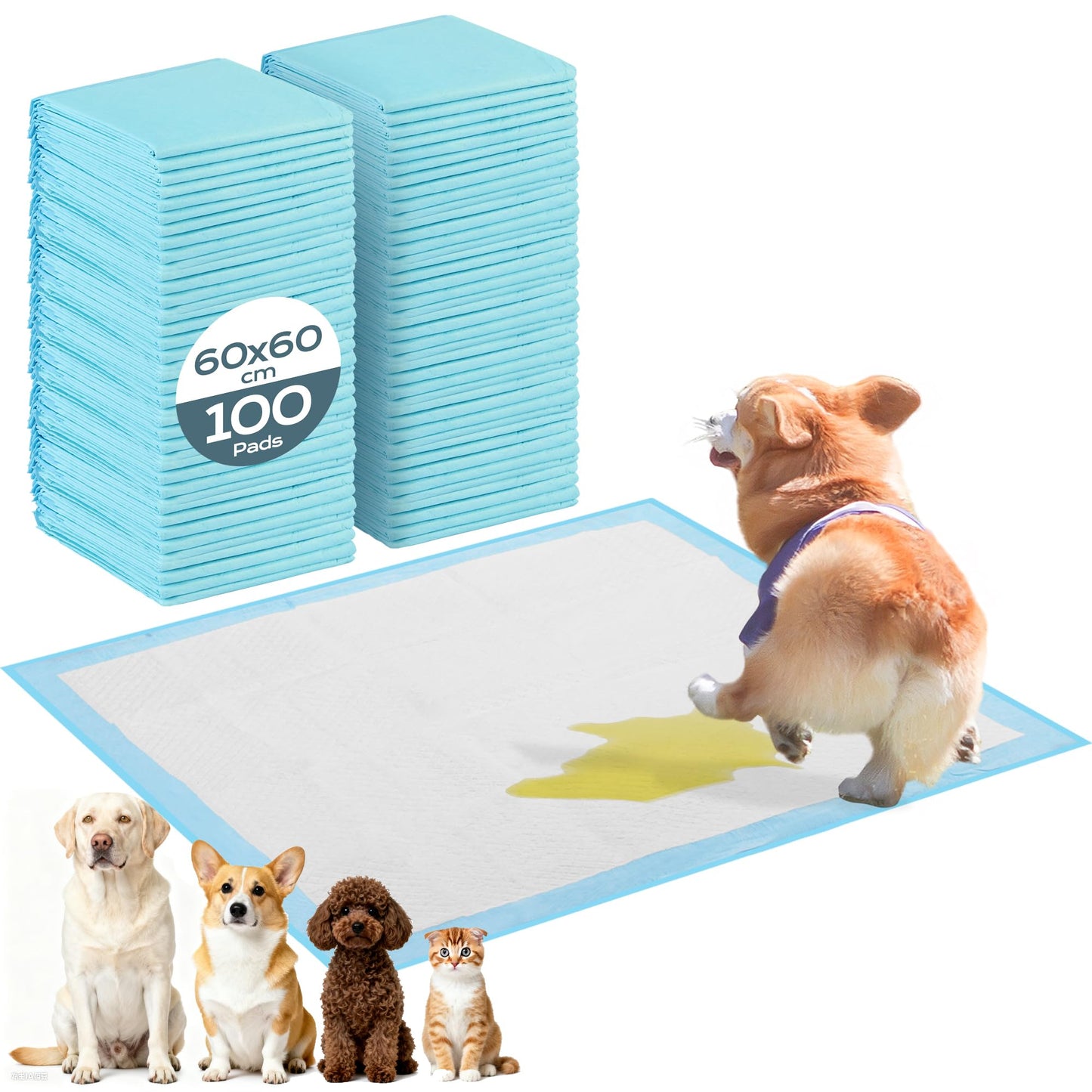 Einweg-Trainingspads, 100 Stück, 100 Stück 60 × 60 cm