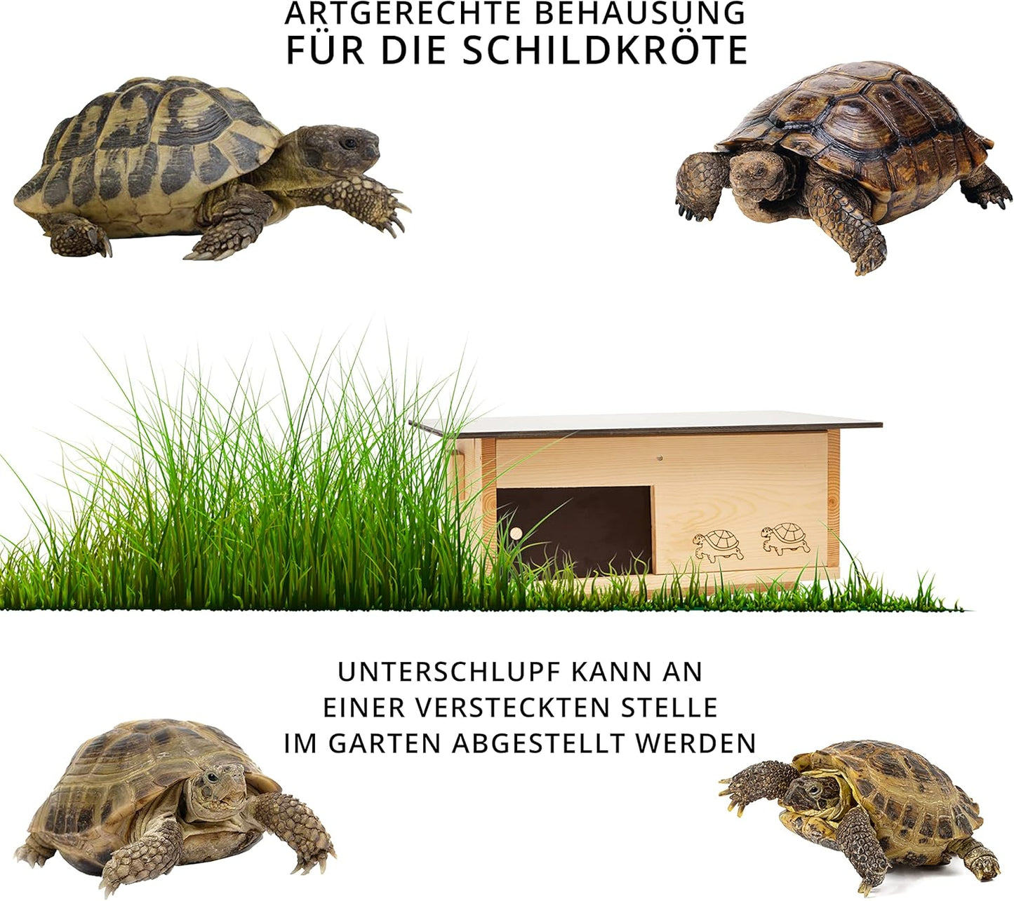 Premium Schildkrötenhaus aus Vollholz, Lasiert