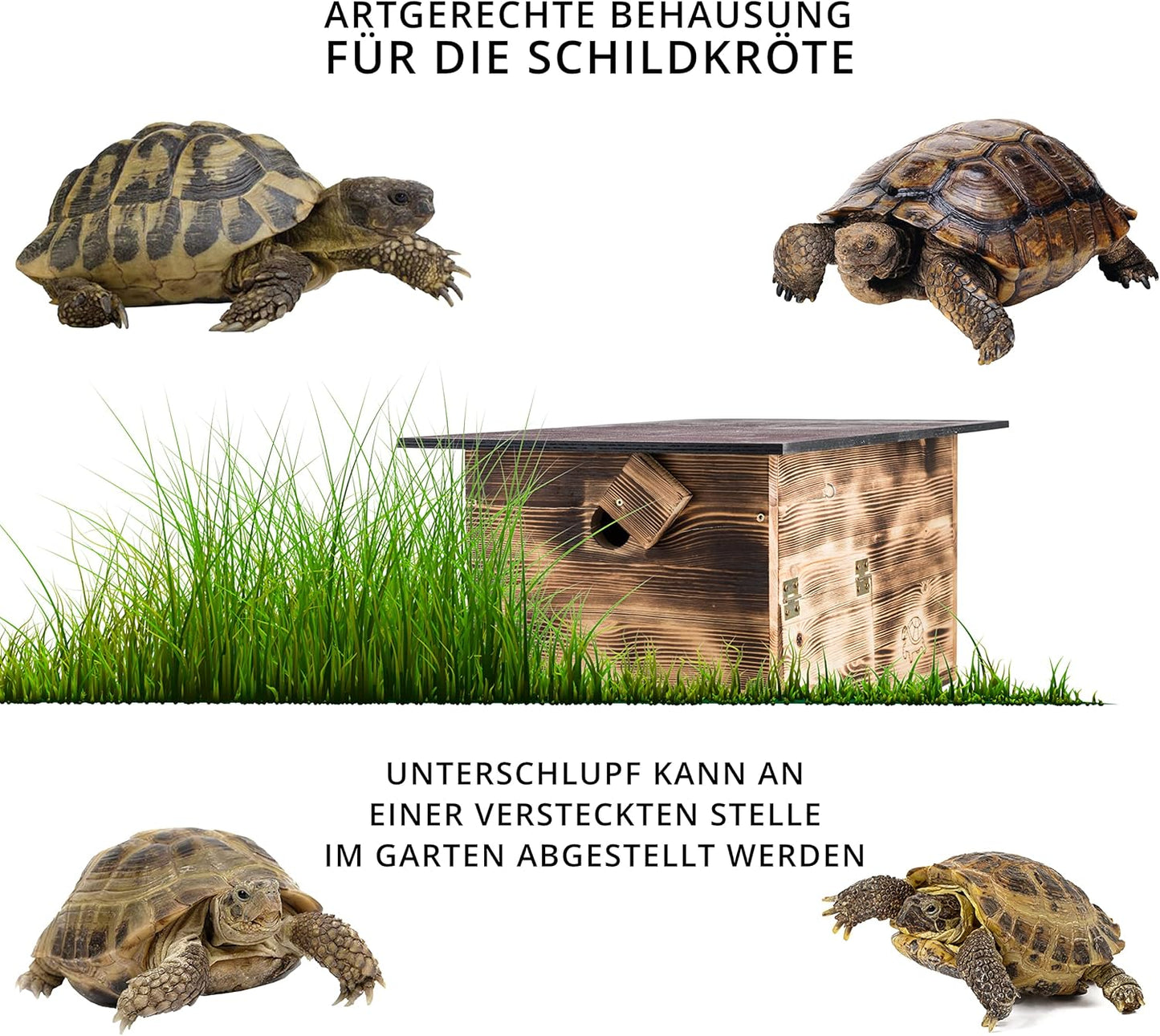 Schildkrötenhaus, Gebrannt