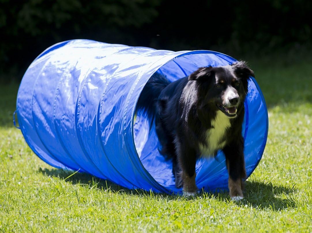 Tunnel für Hundetraining, M