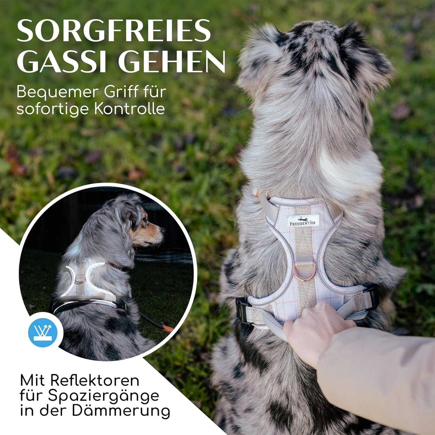 Clyde Hundegeschirr, S