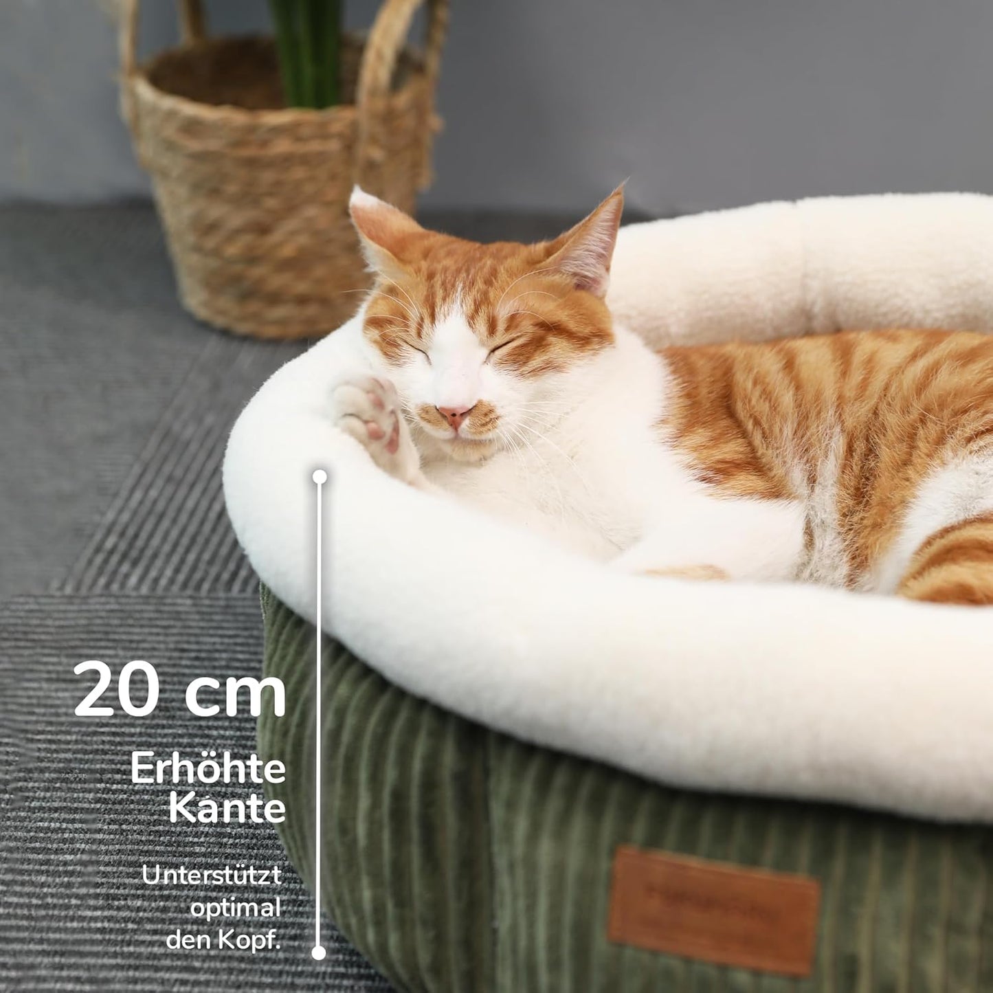 Katzenbett waschbar mit erhöhtem Rand, grün