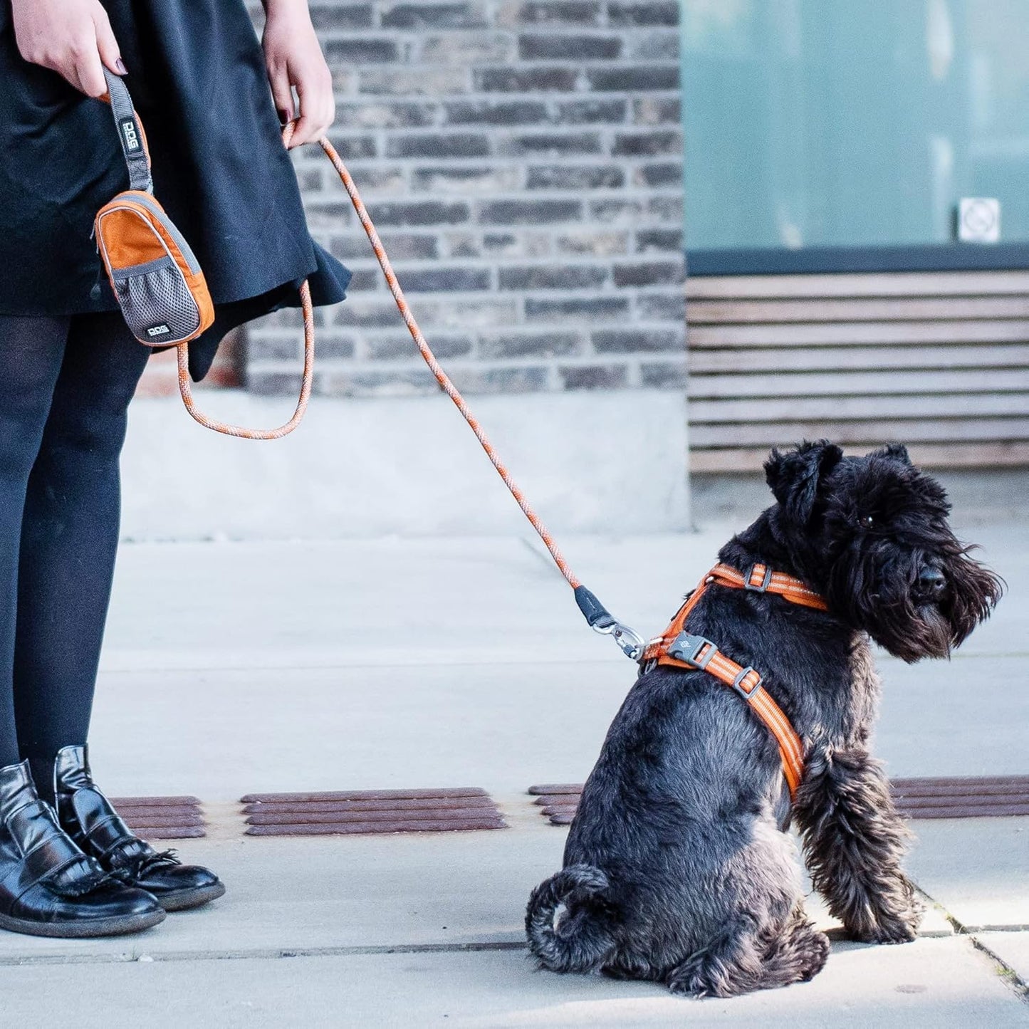 V2 Pouch Organizer für Hunde, Schwarz