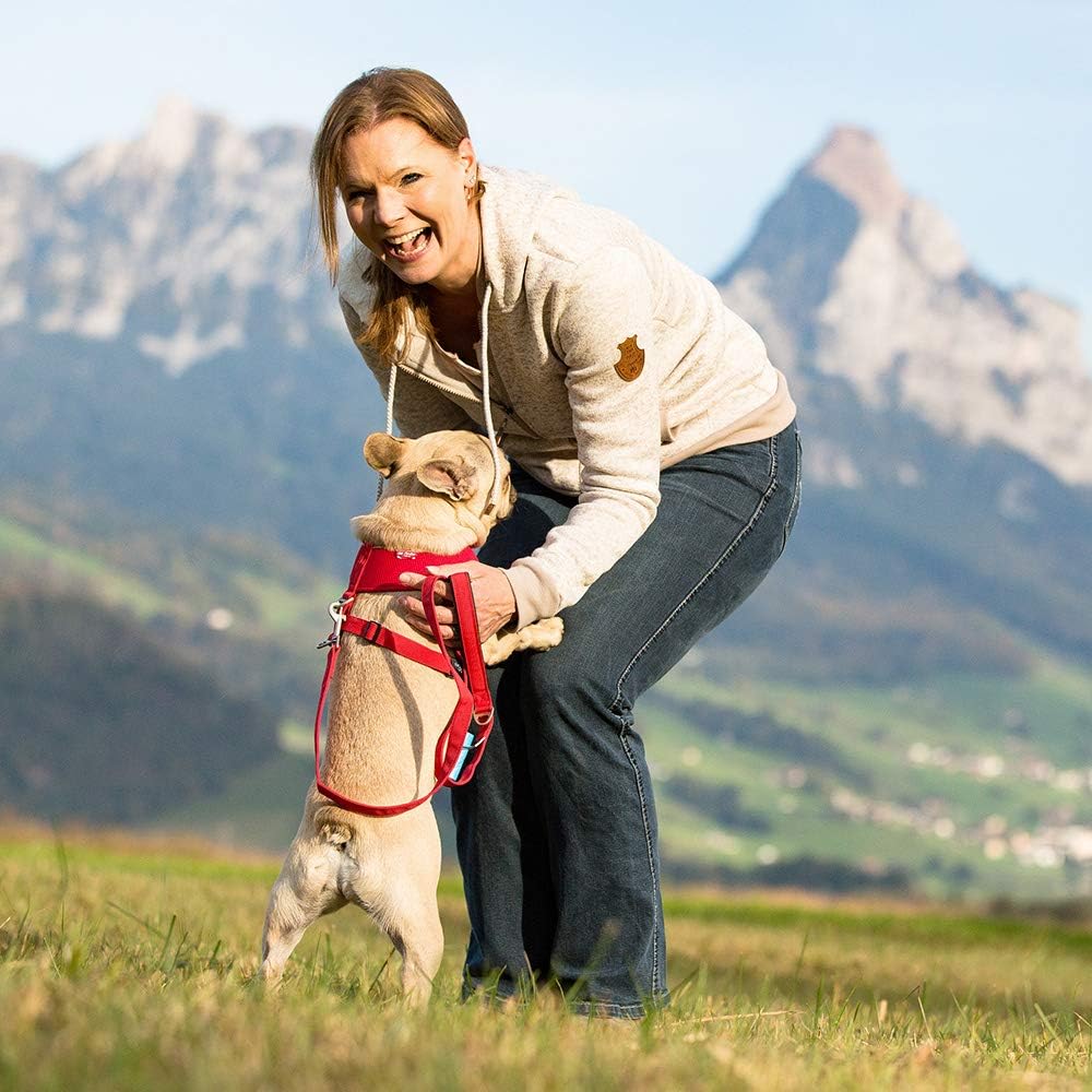 Basic Hundegeschirr, XS Brown
