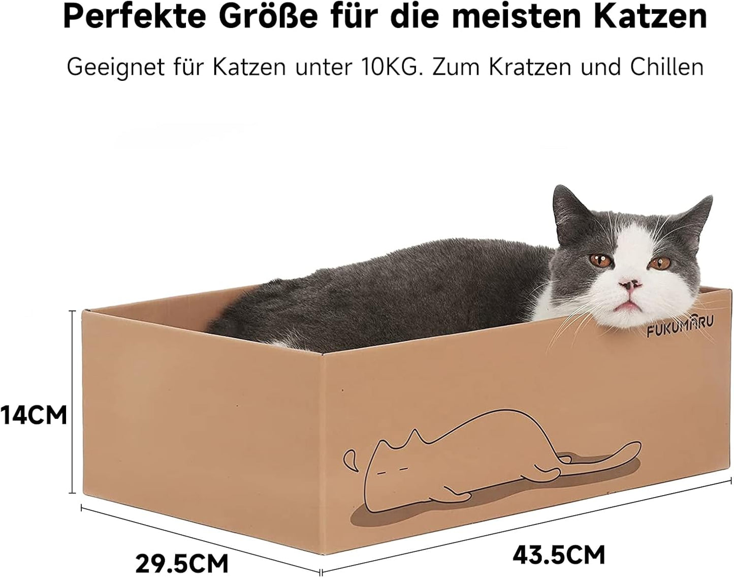Kratzbrett-Set für Katzen (5 Stück, doppelseitig), Karton