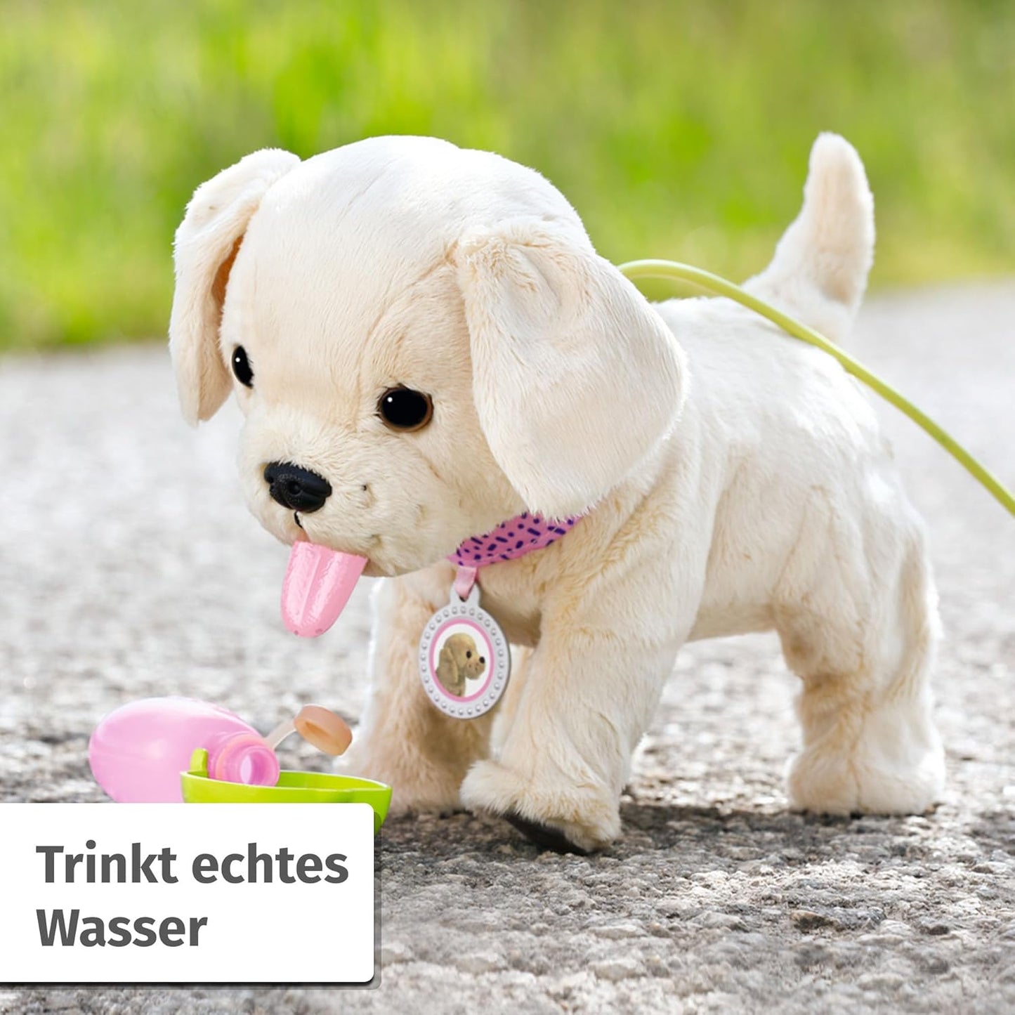 Mein Hund Lucky mit Box und 5 Funktionen