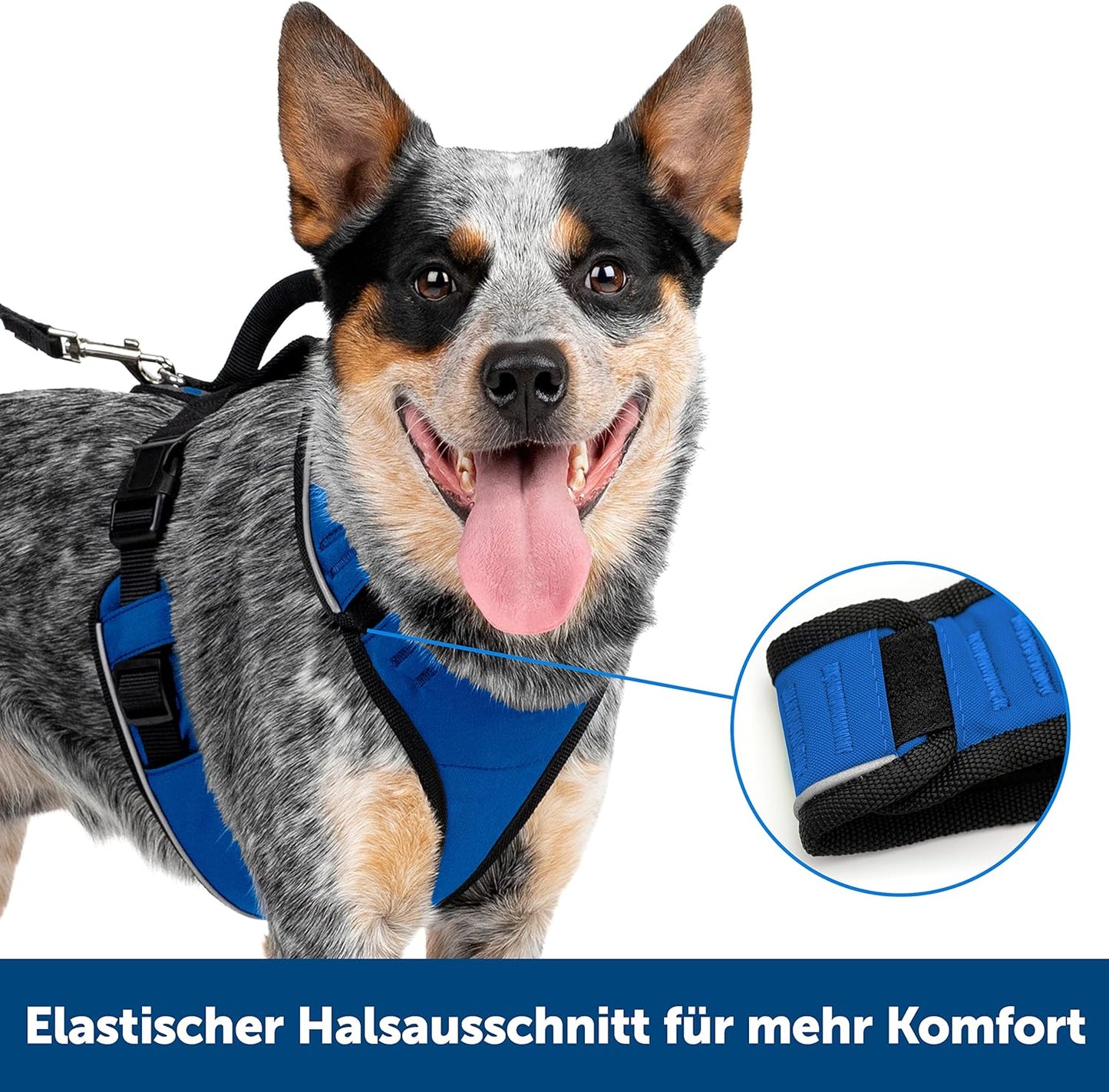 EasySport Hundegeschirr mit gepolstertem Griff, Mittel / Blau