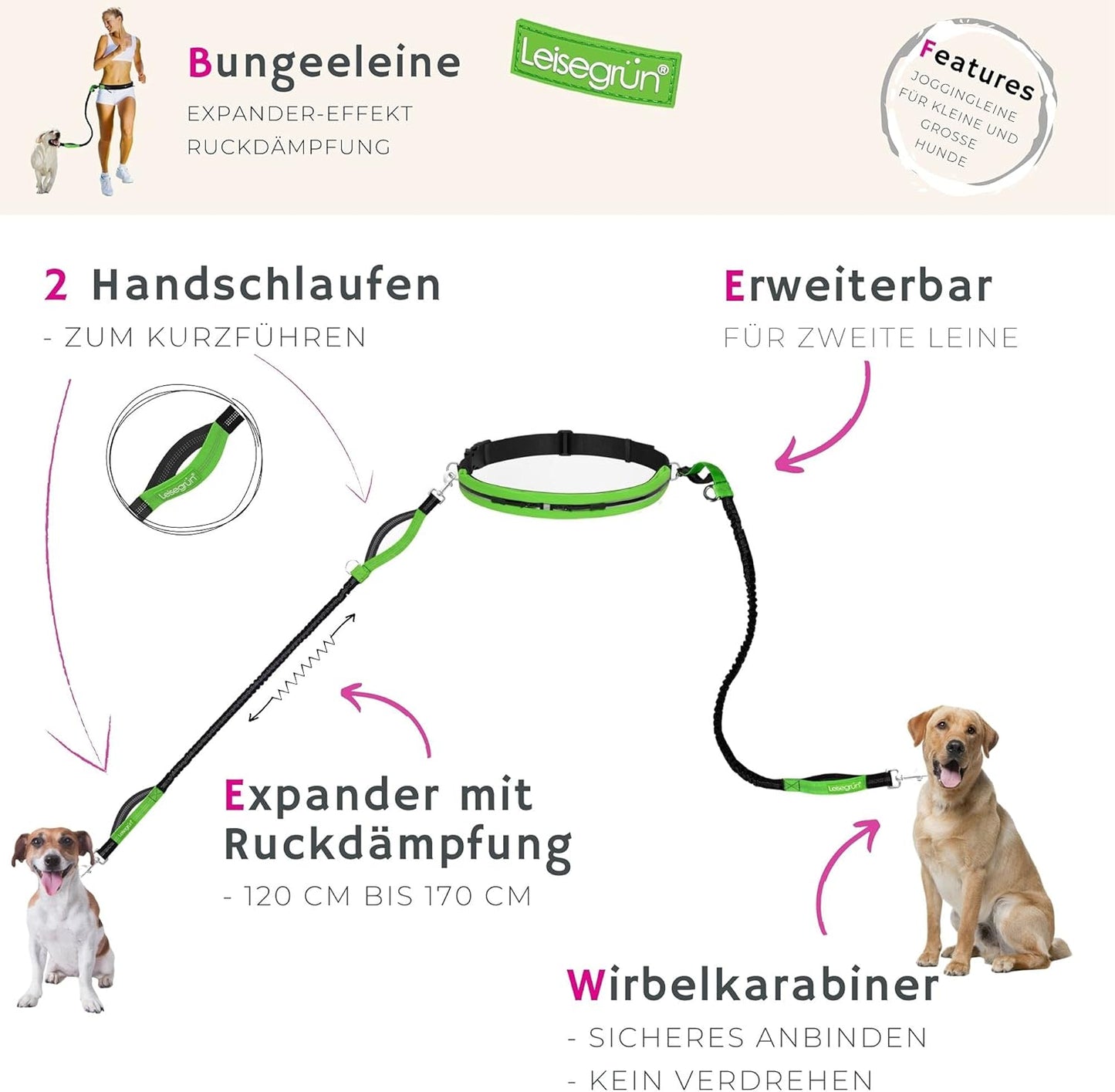 Joggingleine für grosse Hunde mit Bauchgurt und Ruckdämpfer, Set Joggingleine - Grosse Hunde, Grün