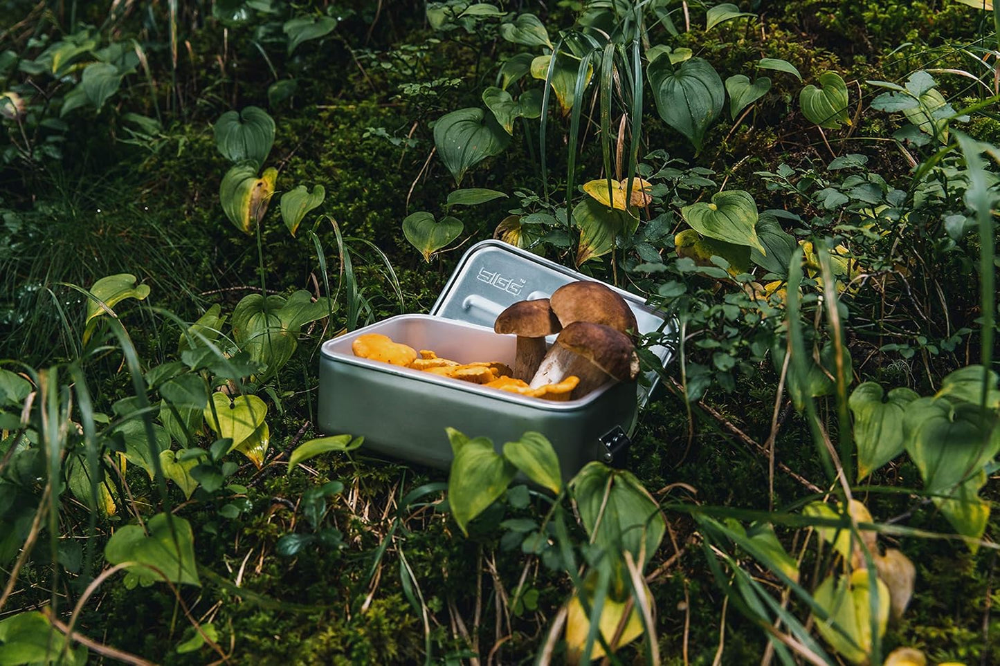 Metal Lunch Box Plus L, Aluminium / large