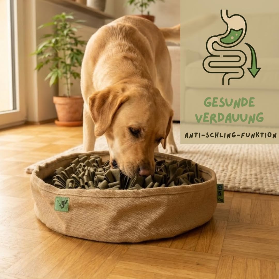 Schnüffelteppich