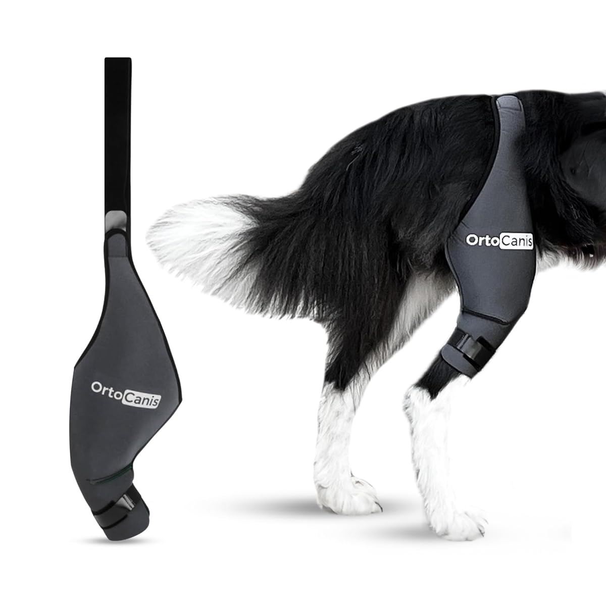 Kniebandage für Hunde bei Bänderverletzungen XX-Large, Rechtes Bein XX-Large (42 – 47 cm)