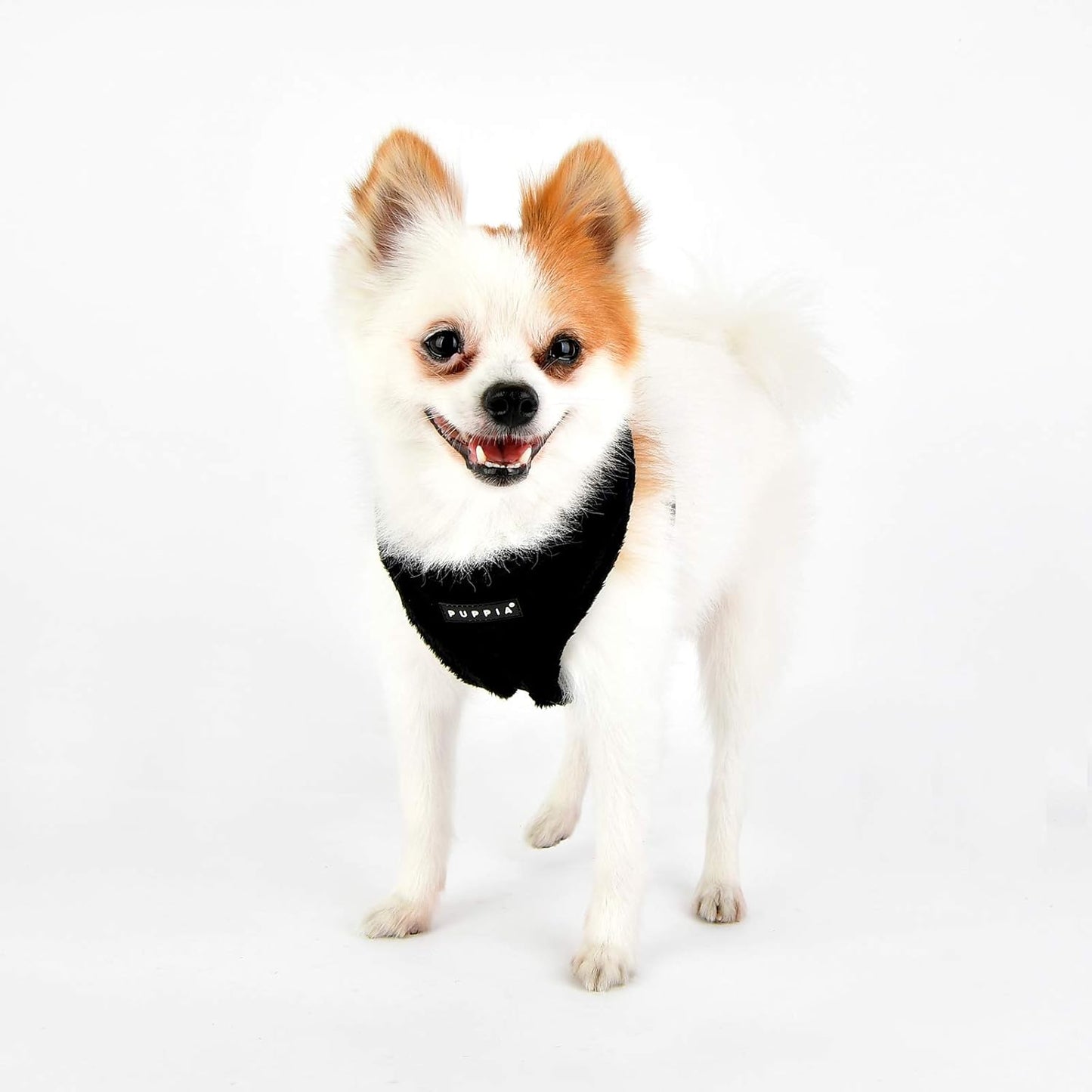 Hundegeschirr Terry Harness A, Schwarz L