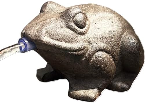 Wasserspeier-Frosch mit Aussenpumpe