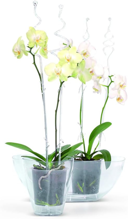 Orchideenstab Kunststoff, 58,5 cm Transparent