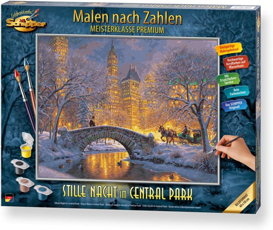 Malen nach Zahlen - Stille Nacht im Central Park