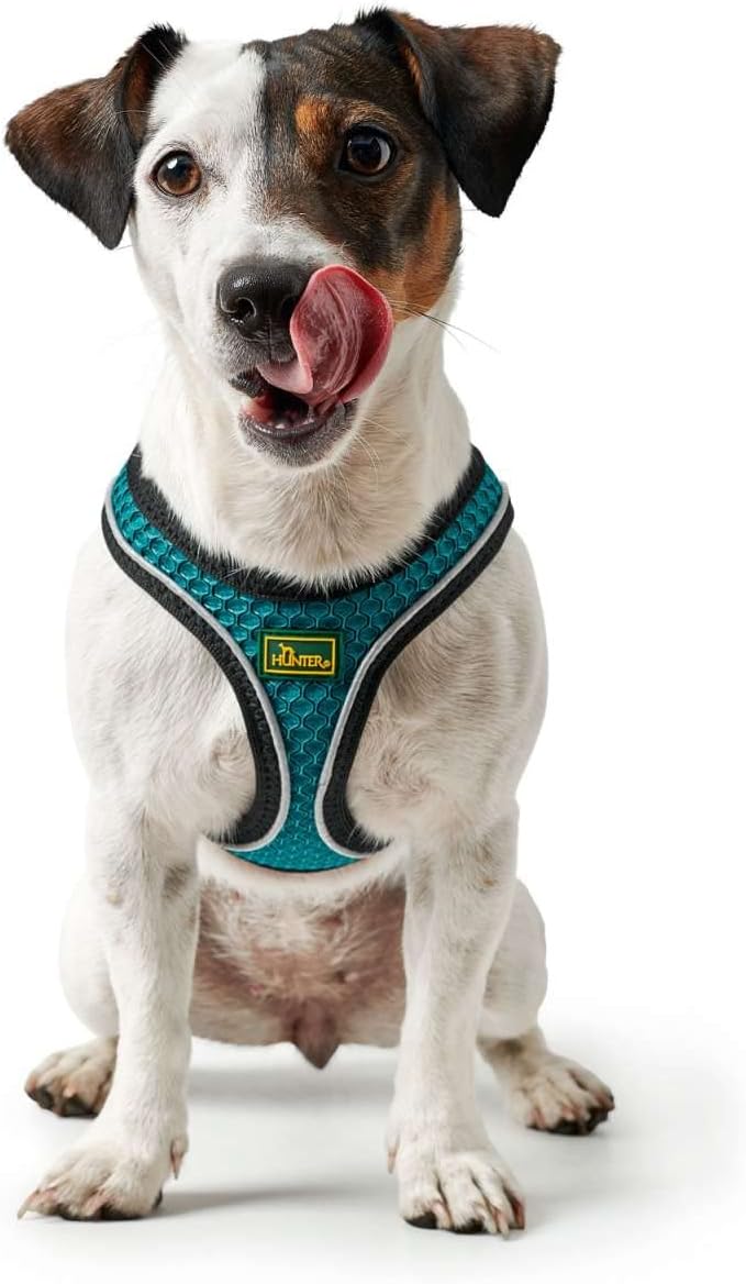Hundegeschirr Hilo Comfort, Türkis, S-M