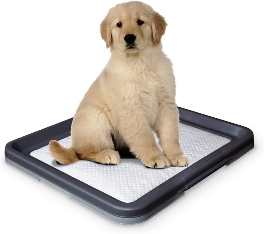 67151 Doggy Trainer Welpenunterlage, Large