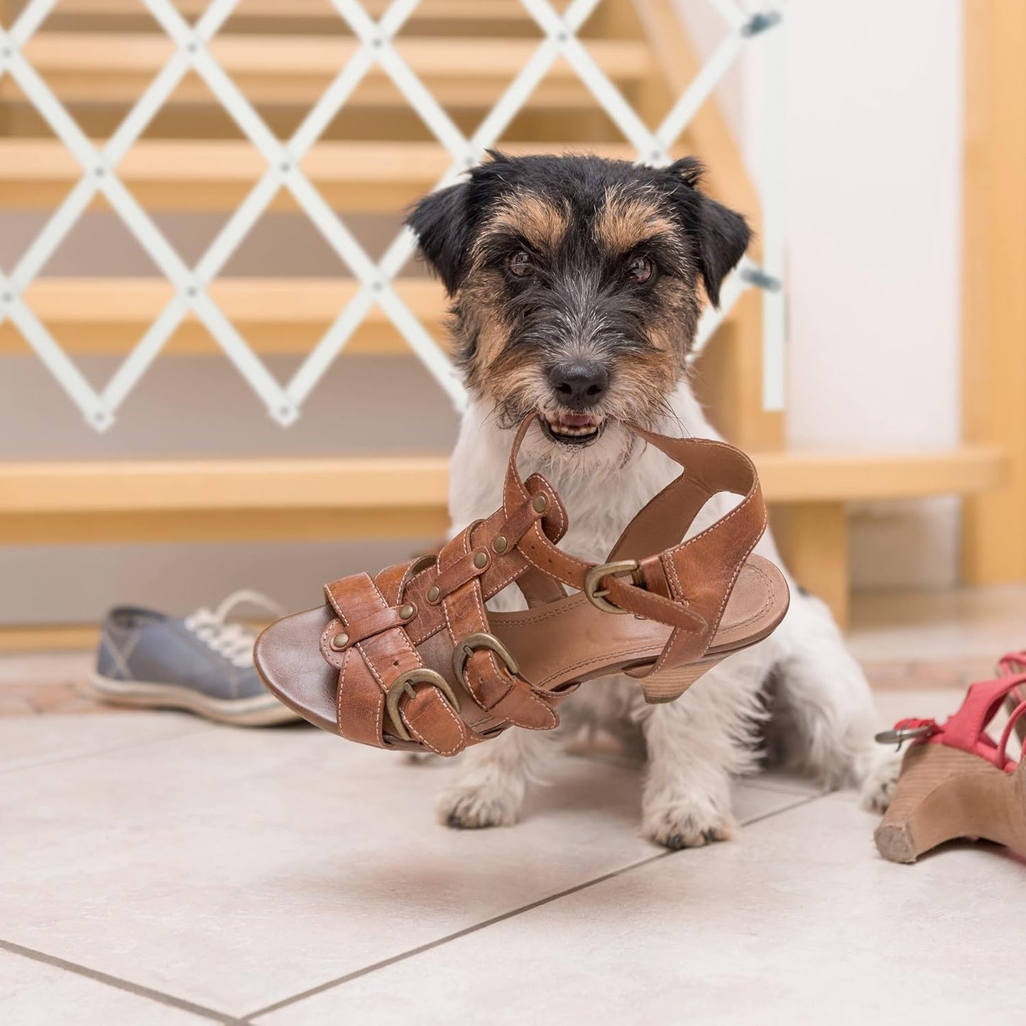 Ausziehbares Hundeabsperrgitter, M