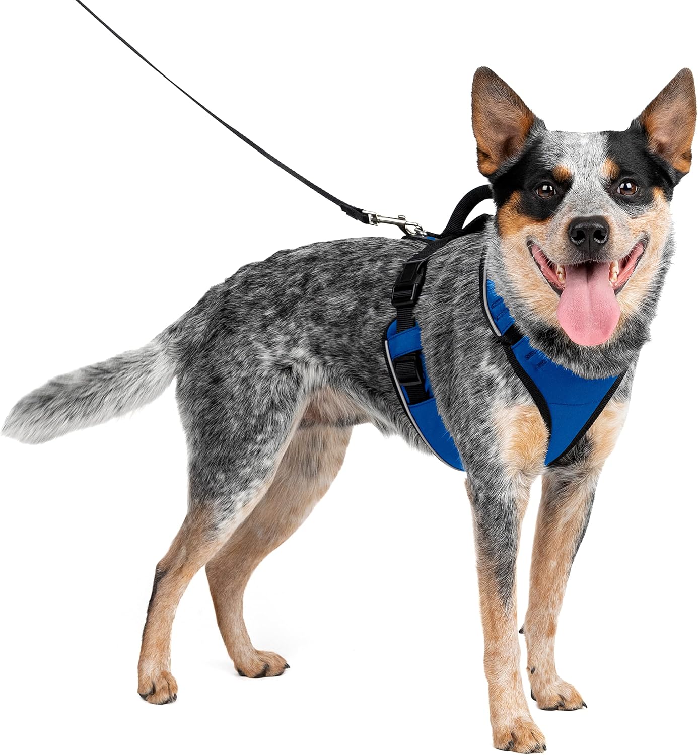 EasySport Hundegeschirr mit gepolstertem Griff, Mittel / Blau