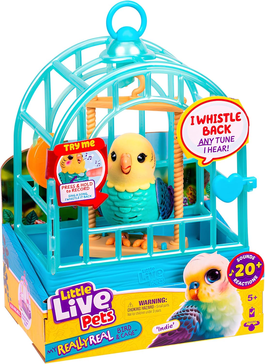 My Really Real Vogel Indie, Indie