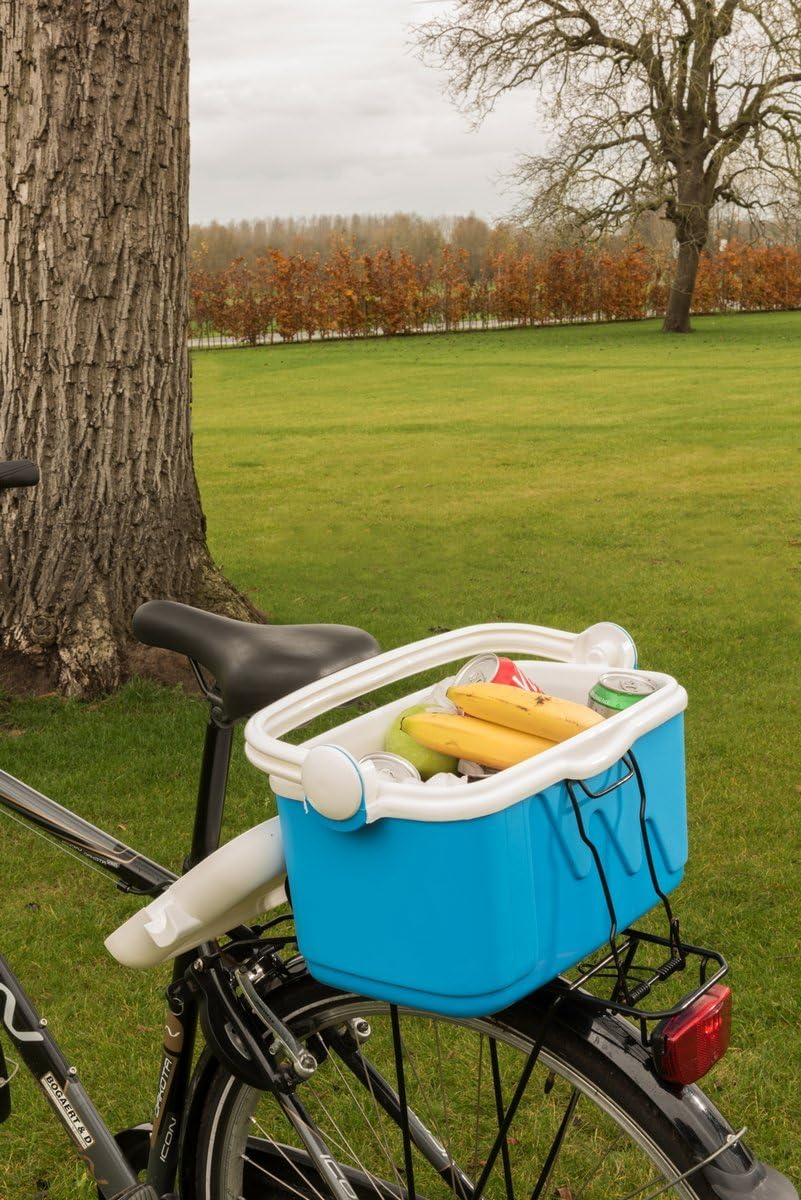 car refrigerator 159907