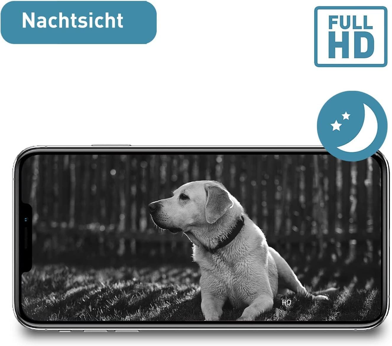 2er-Haustierkamera-Set mit Bewegungserkennung, Sprachfunktion & Nachtsicht, Cam Free 2er Set