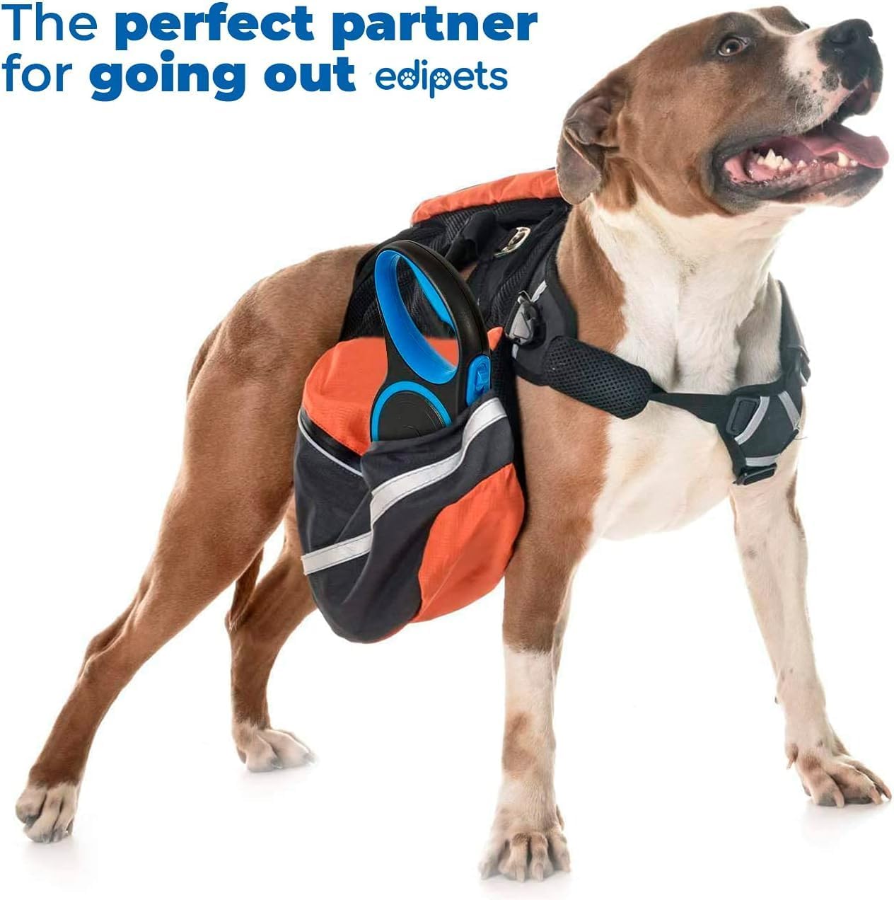 Ausziehbare Hundeleine, 8 Meter, Blau 8 Meter