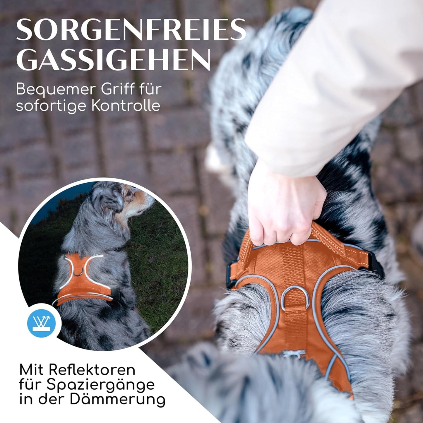 Hundegeschirr mit Polsterung, M Orange