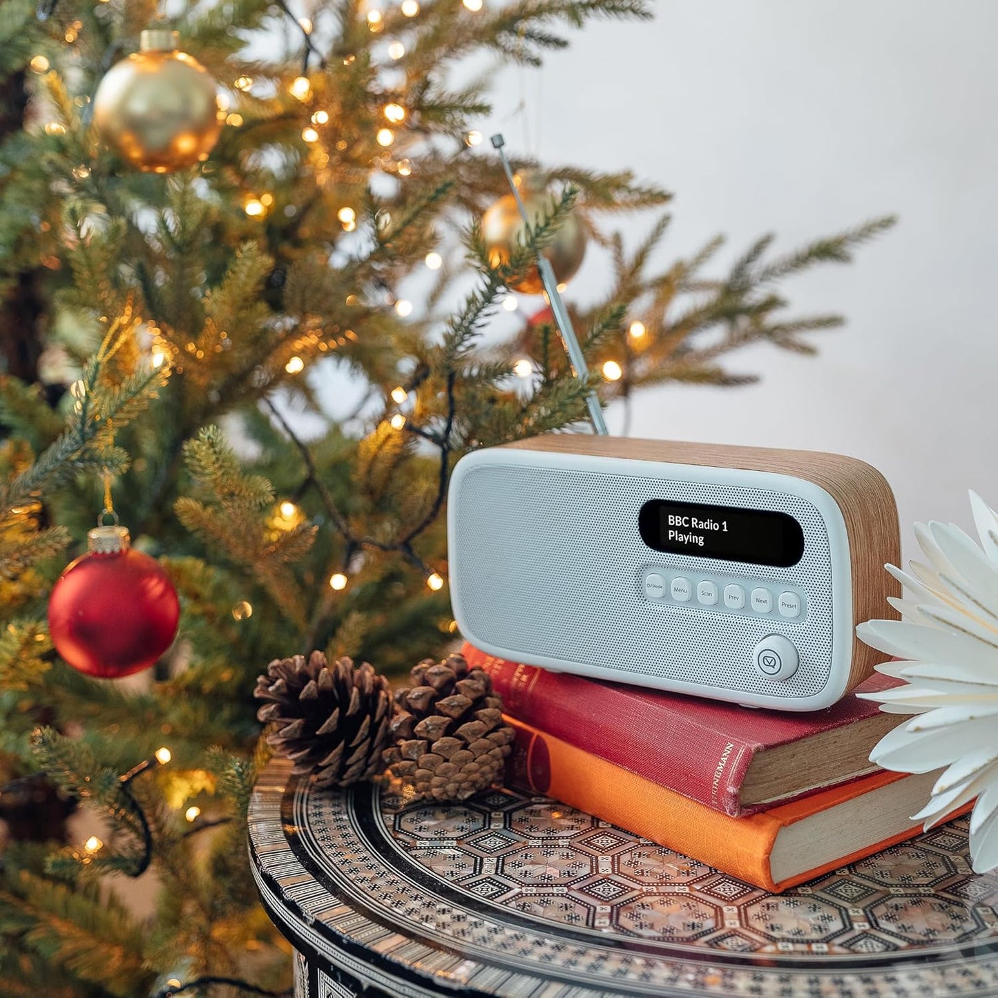Dexter Radio DAB+ mit FM und LCD Display, Eiche Holzern