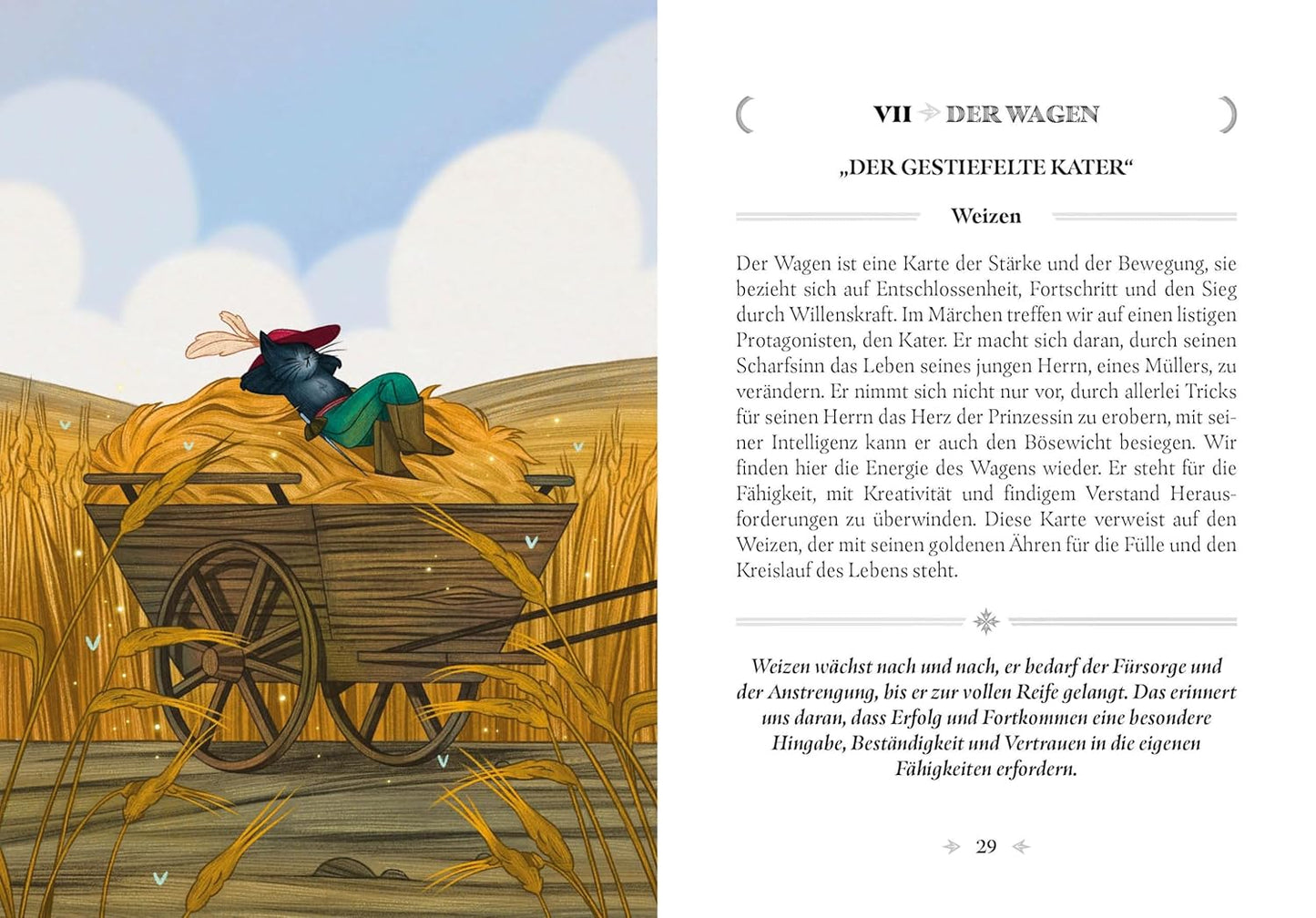 Magie des Märchenwaldes, Gebundenes Buch