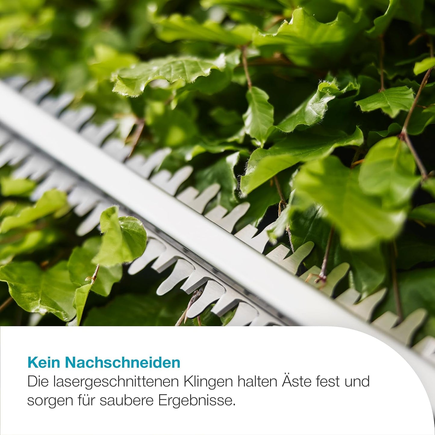 Akku-Heckenschere EasyCut, mit Akku