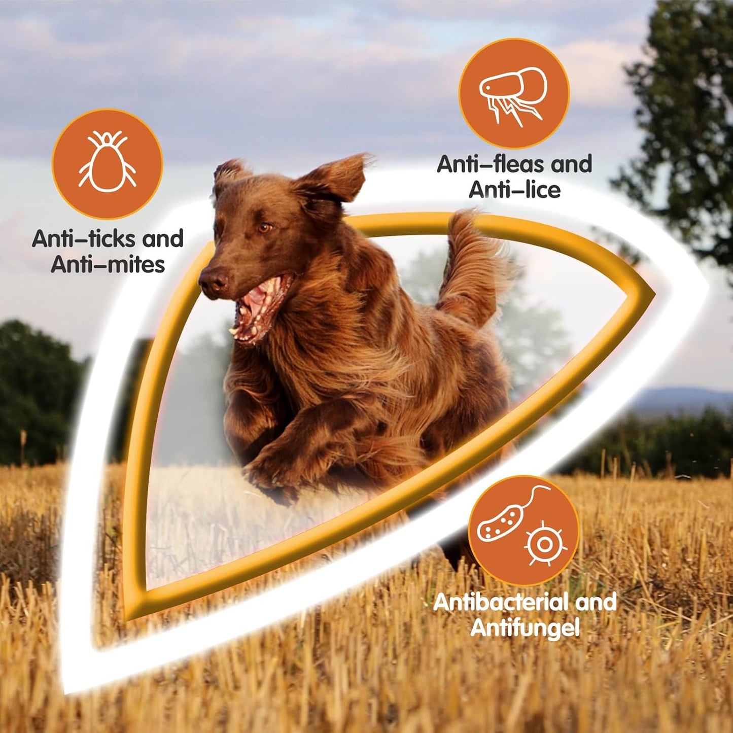 Hundeshampoo gegen Juckreiz und Hautreizungen (500ml), Sensitiv