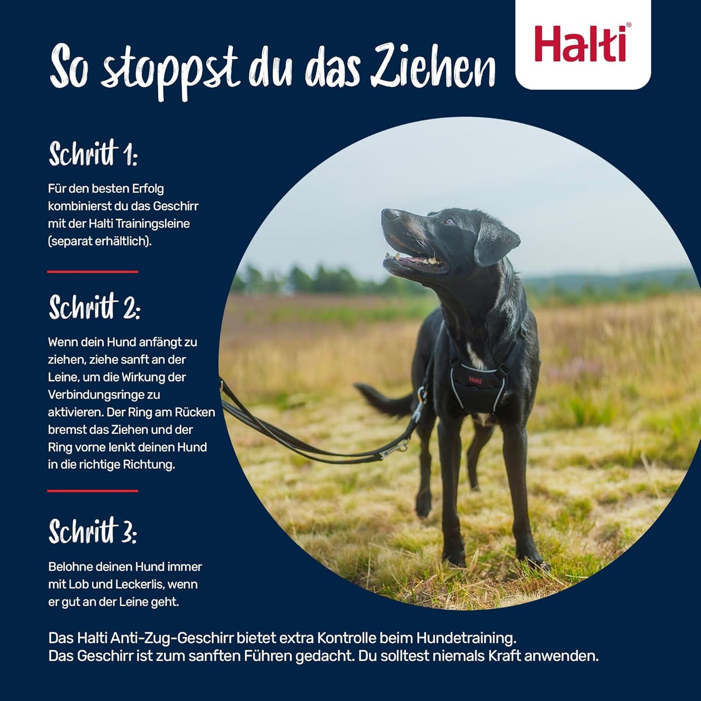 Anti-Zug Hundegeschirr, Dunkelorange / XS