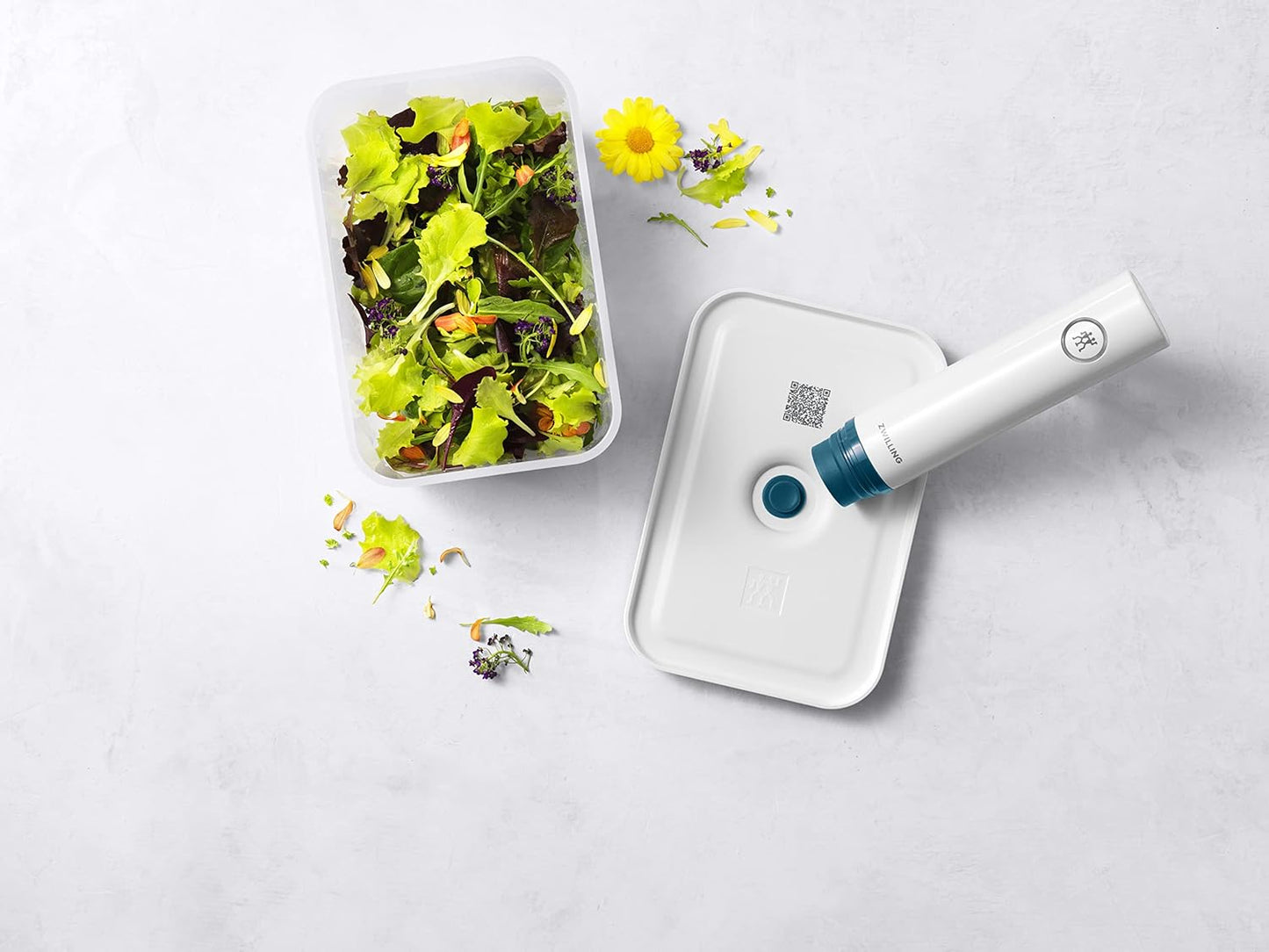 Fresh & Save Vakuumbox, Vakuumbox L Kunststoff