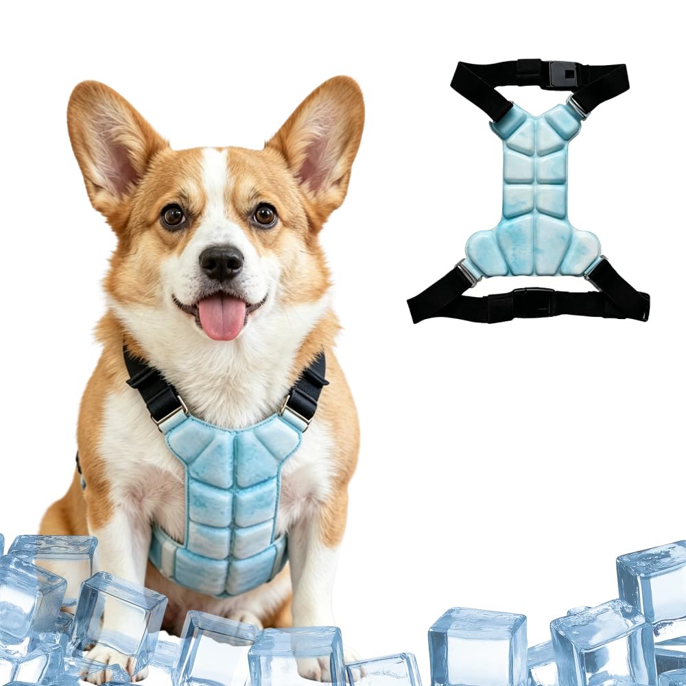 Hundekühlweste PCM Kühlmantel, Blau L