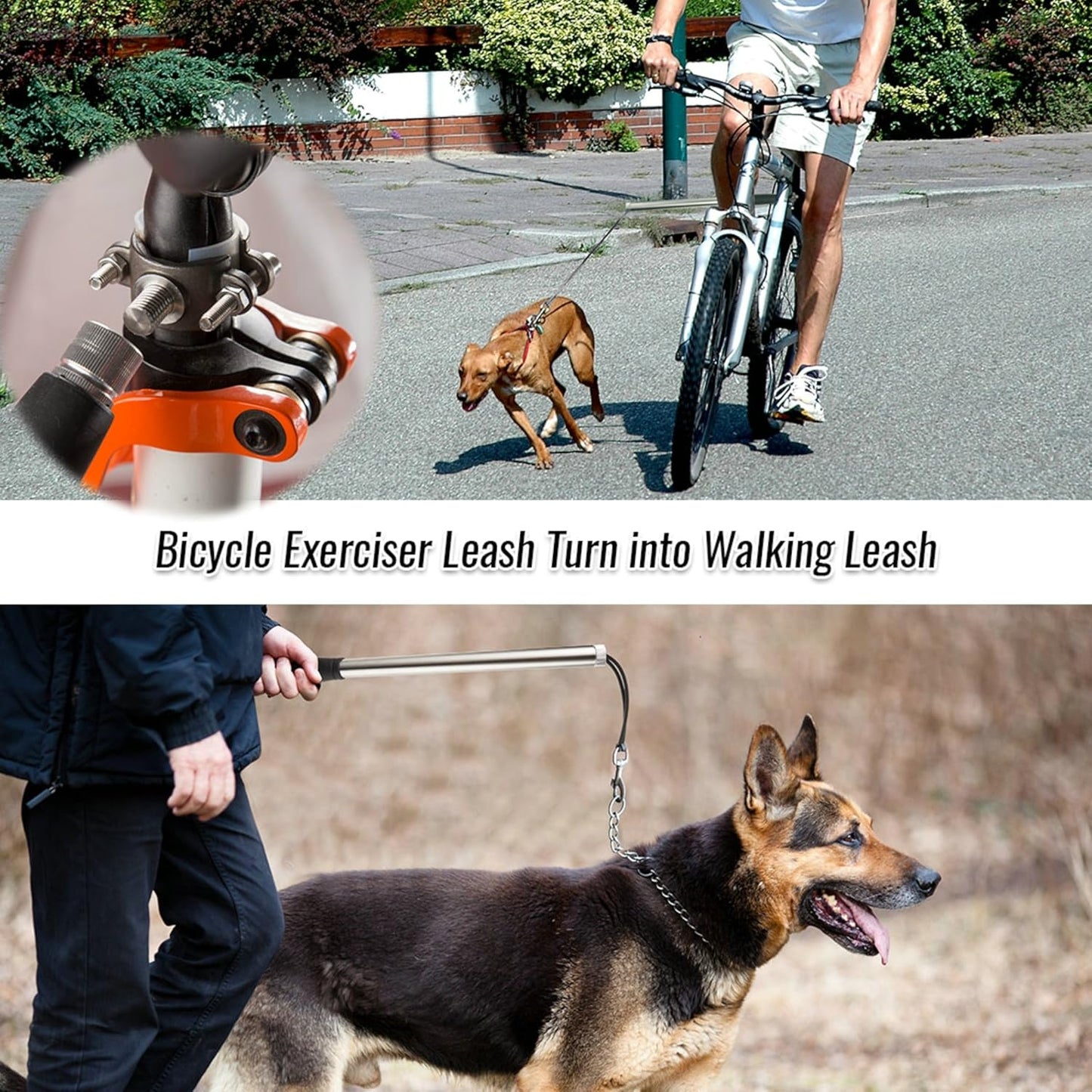 Fahrradstange für Hunde