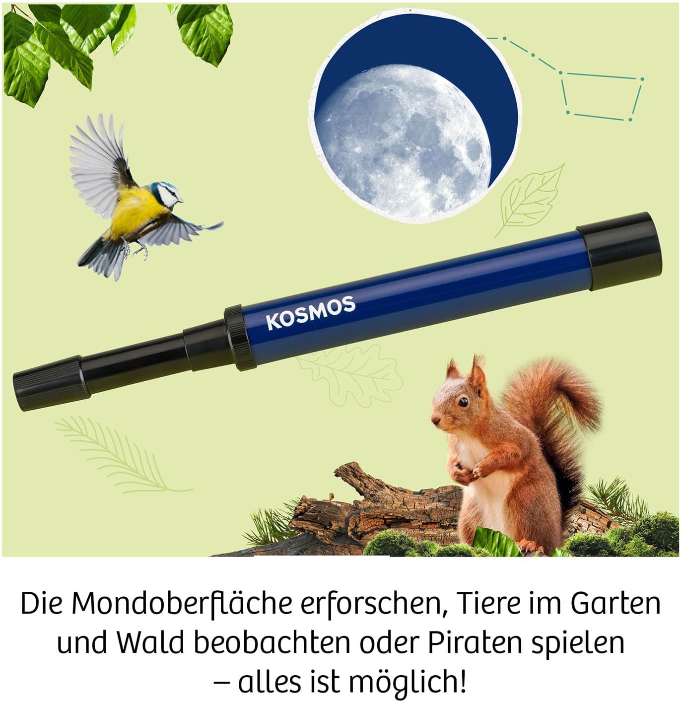Fernrohr, Fernrohr, 2026