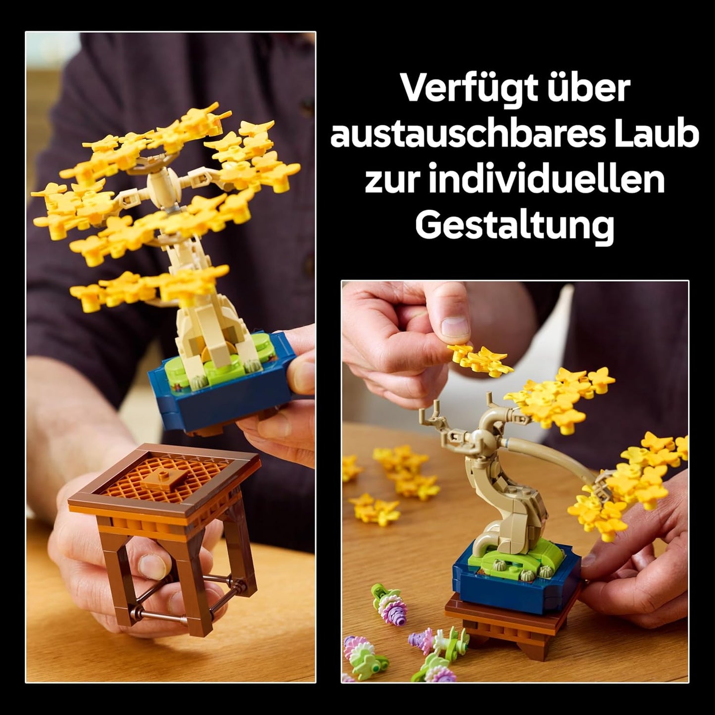 Mini-Bonsai Bauset, Mini Bonsai Trees 10373