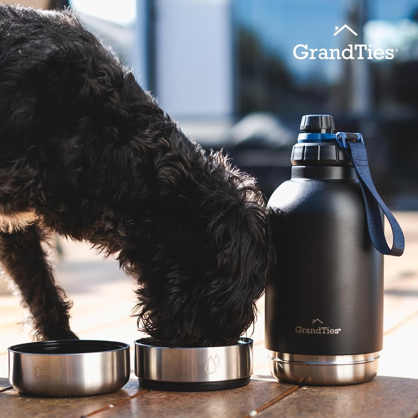 Isolierte Hundewasserflasche mit 2 abnehmbaren Hundenäpfen, Midnight Black Large 64oz/1890mL