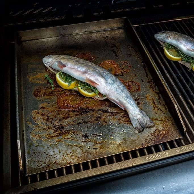 Grillplatte Plancha 40x30cm, 40x30cm - Universalgrösse