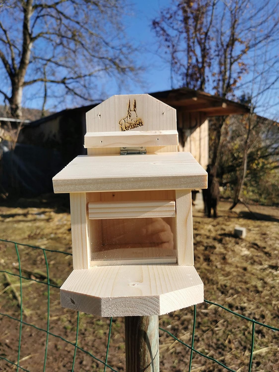 Eichhörnchen Futterhaus, Natur unbehandelt