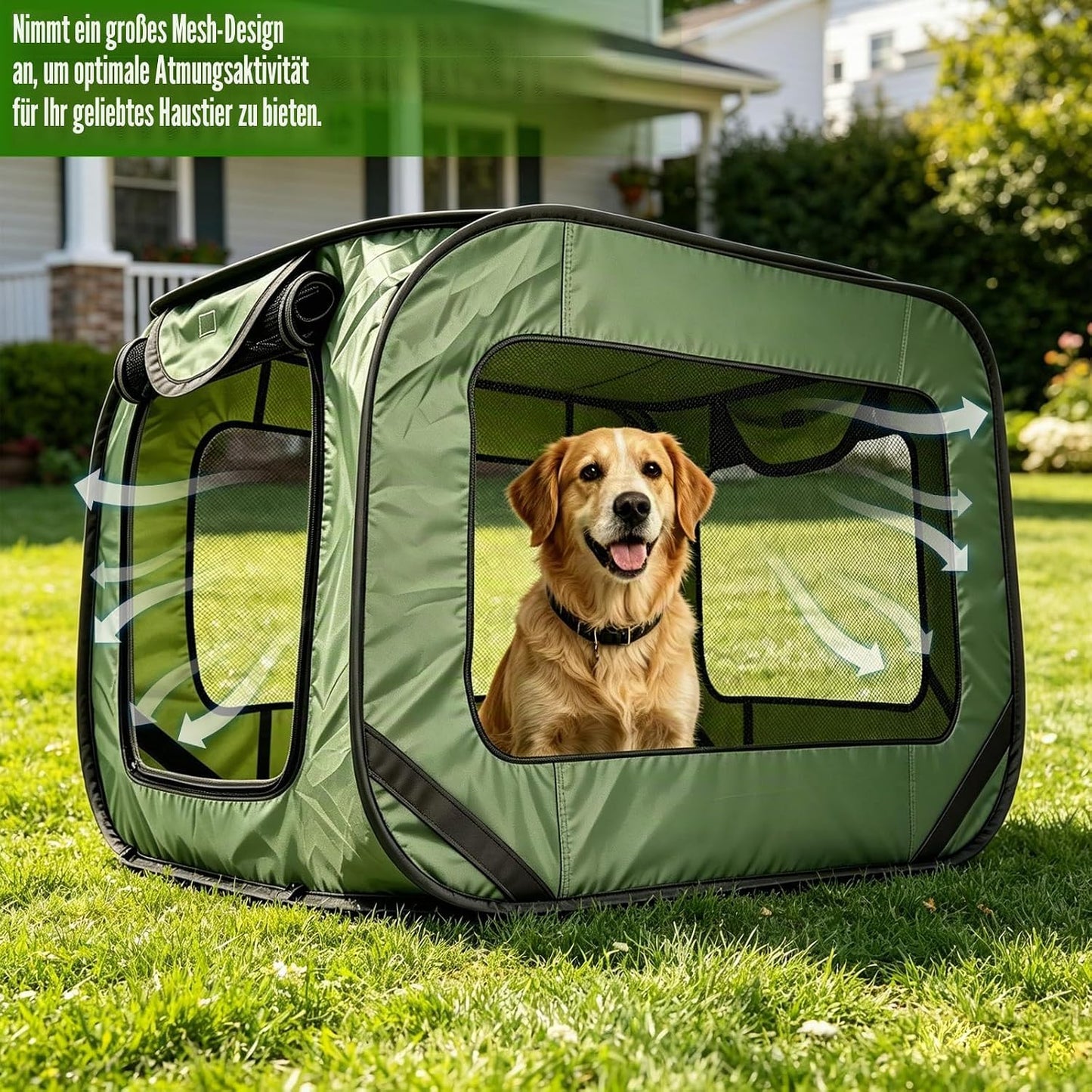 Faltbare Hundetransportbox für Auto und Reisen