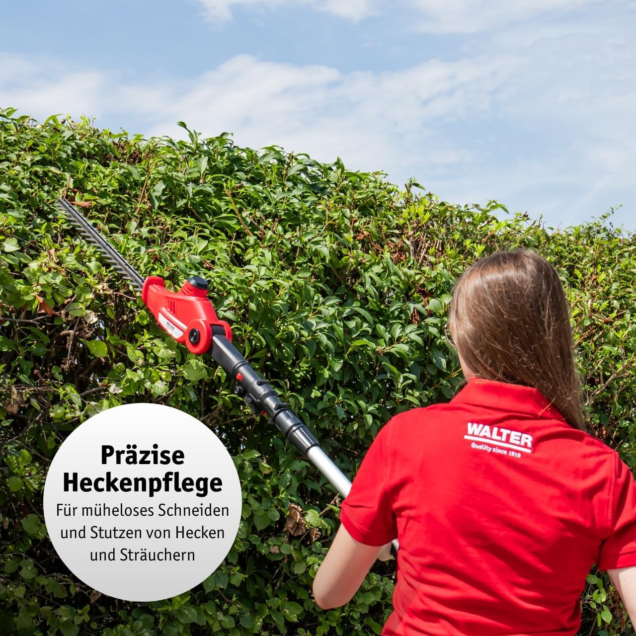 Akku-Teleskop-Heckenschere, 12V Teleskop Heckenschere