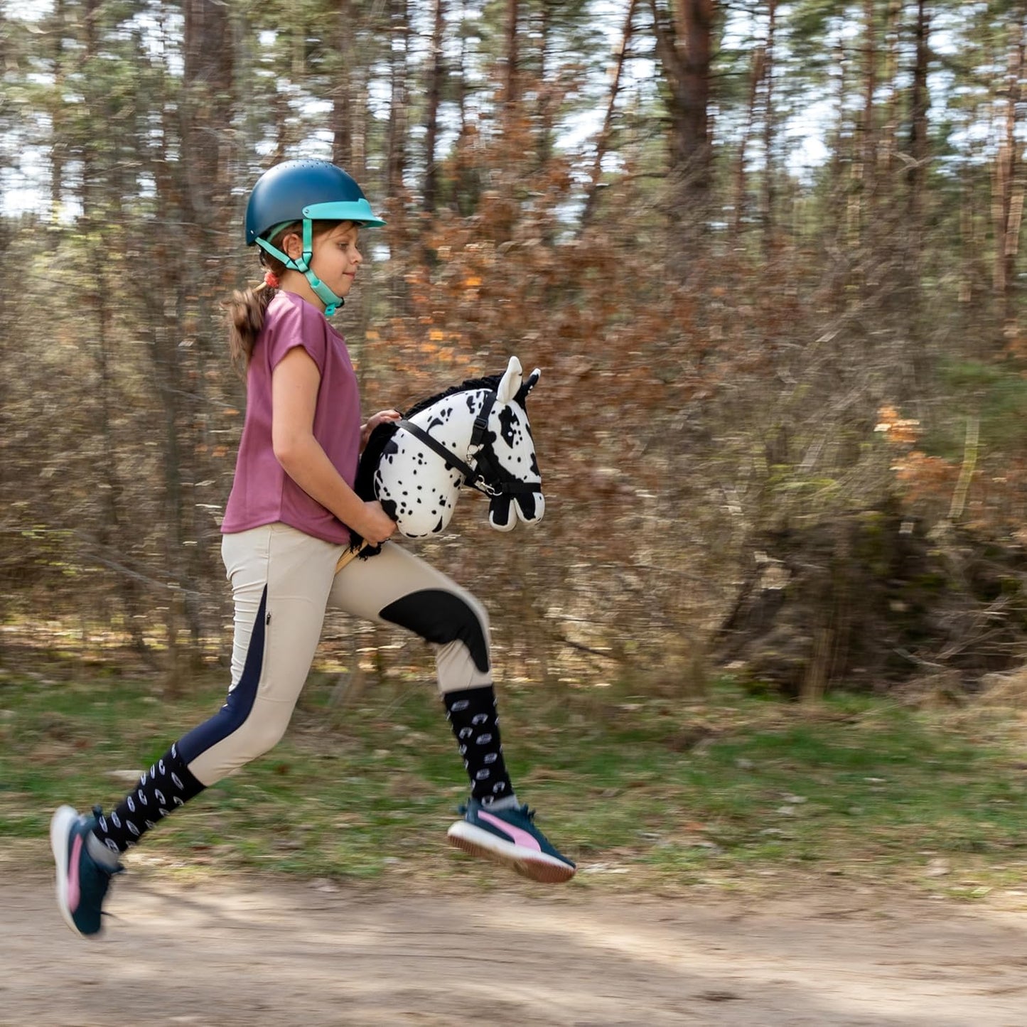 Hobby Horse